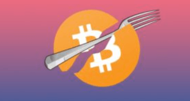 What Is Blockchain Forking?